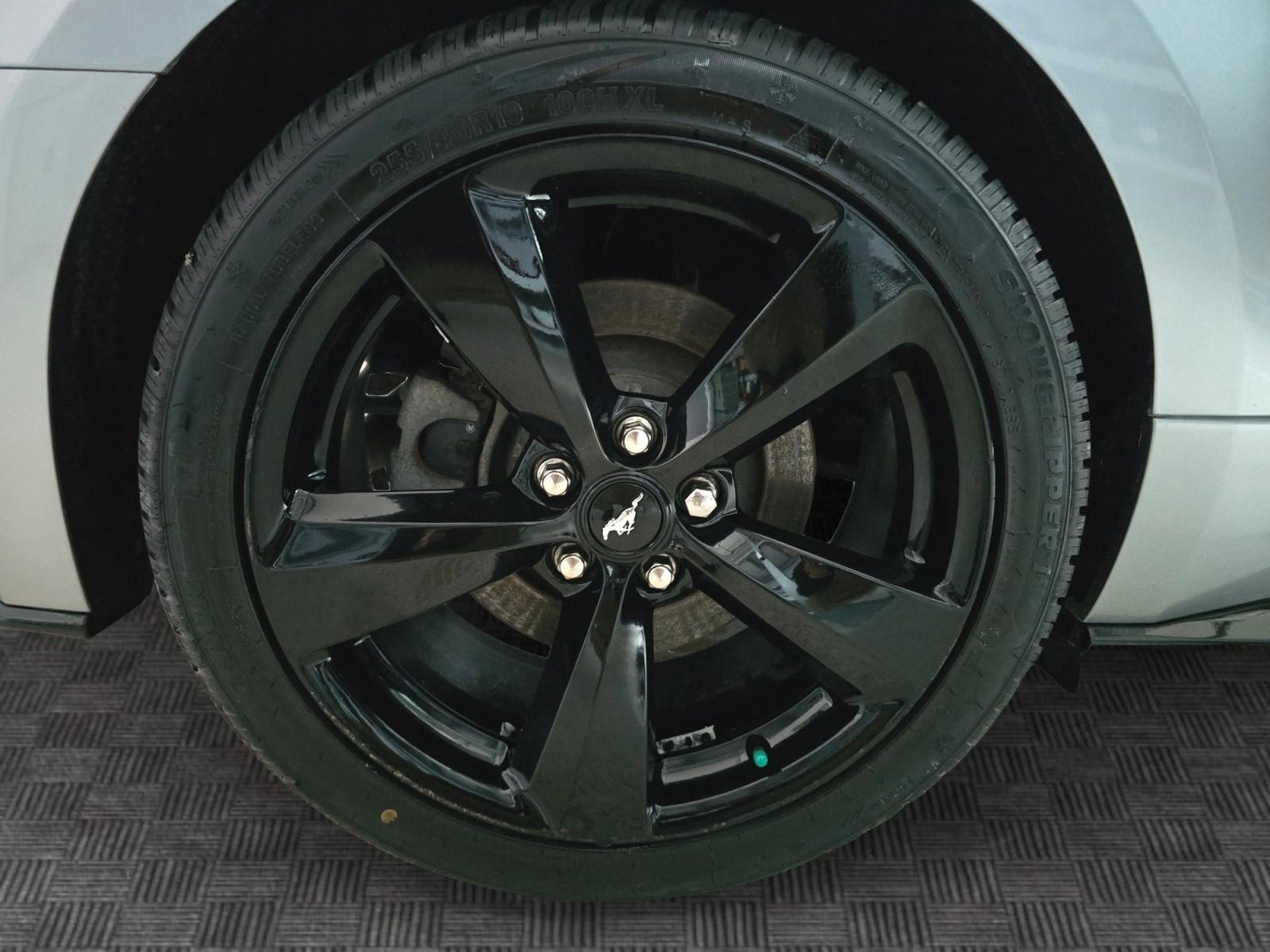 Ford Mustang GT 5.0 V8 Premium / SBL / ACC, миниатюра 22