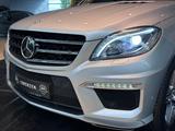 Mercedes-Benz ML63 AMG Soft Kamera Memory Luft LED ACC Sthzg - scheckheftgepflegte Mercedes ML 63 AMG