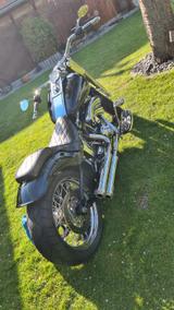 Harley-Davidson FLSTCI Custom Umbau - HARLEY-DAVIDSON 2002