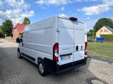 Fiat Ducato - Fiat Ducato Gebrauchtwagen in Hamburg