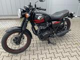 Kawasaki W800 Special Edition  - 1.Hd.  - wie Neu! - KAWASAKI W1