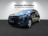 Opel Grandland (X) Business Edition/Navi/Kamera/AHK - Opel Grandland (X) in Gelsenkirchen
