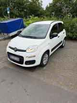 Fiat New Panda/ Neuer Service/ Tüv bis 27 - Fiat New Panda aus 2019