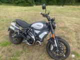 Ducati Scrambler 1100 Dark Pro - DUCATI SCRAMBLER 1100 DARK PRO