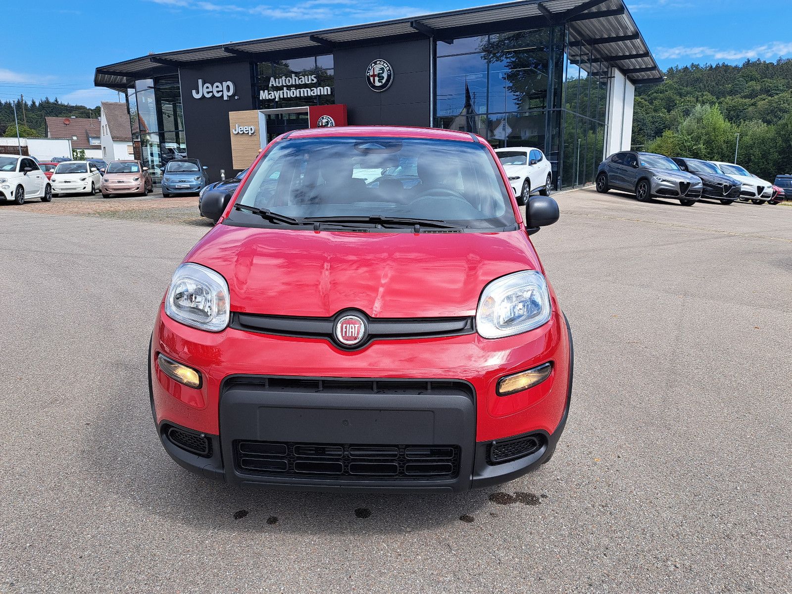 Fahrzeugabbildung Fiat Panda Pandina  / Virtual Cockpit