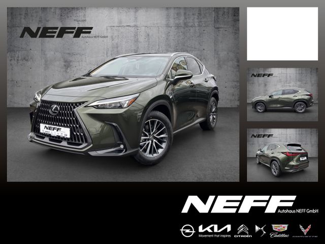 Lexus NX 350h Business Line Barzahlungsangebot