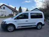 Volkswagen Caddy - Wohnmobile bis 10.000 Euro