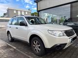 Subaru Forester - Subaru Forester: Kombi