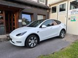 Tesla Model Y SR Standard Range AHK FSD - Tesla in Wuppertal