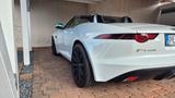 Jaguar F-Type Cabrio P300 Convertible, Top-Zust. - Jaguar F-Type mit Benzin-Antrieb: Cabrio