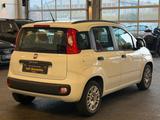 Fiat Panda**Pop**erst 68 Tkm**Garantie**HU Neu** - Fiat Panda: Kleinwagen