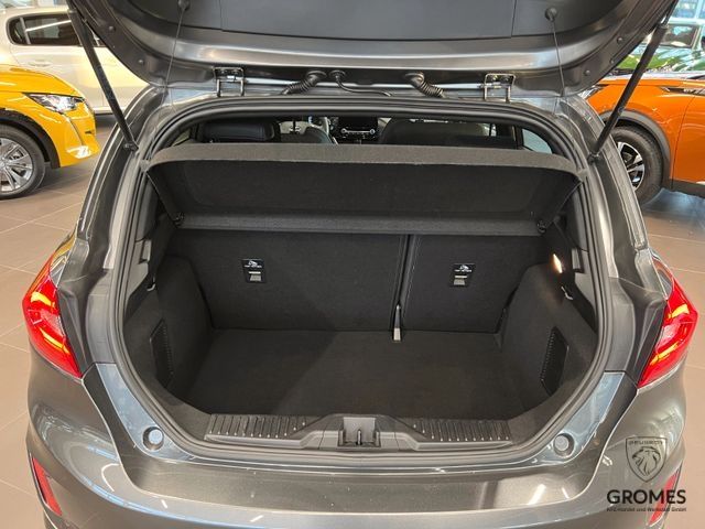 Fahrzeugabbildung Ford Fiesta ST Navi SHZ AppleCarPlay
