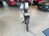 HNF Lenz Röhn Damen E-Bike - E-Citybike E-Bikes