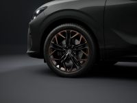 Cupra Terramar - Vorschau Bild 4