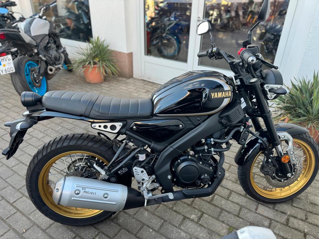 Yamaha XSR125 SCR 