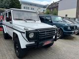 Mercedes-Benz G 230 *H-ZULASSUNG*DEUTSCH*LEDER*RESTAUR*EINGETR - Mercedes-Benz G-Klasse in Essen