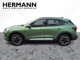 Ford Kuga 2.5 Duratec PHEV Active X AHK*CAM*LED*NAVI - Ford Kuga: Grün
