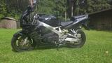 Honda     CBR 900 RR Fireblade SC33 - HONDA CB 900