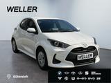 Toyota Yaris Hybrid 116 1.5 Comfort *ACC*RCam*CarPlay* - Toyota Yaris Neuwagen