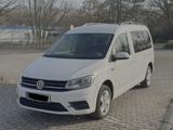Volkswagen Caddy Maxi 2.0TDI family 7-Sitzer - : Kombi, 7 Sitzer