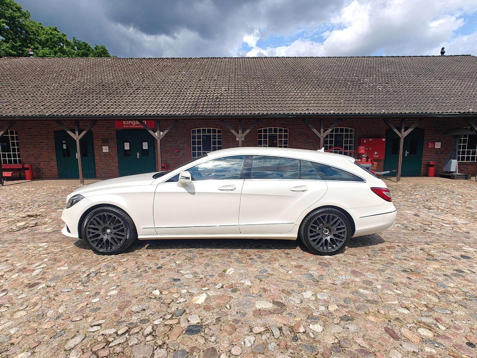 Mercedes-Benz CLS 250 CLS 250 CDI BlueTec MultiBeam /