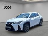 Lexus UX 250h Navi LED Dyn. Kurvenlicht ACC Apple CarP - Lexus UX aus 2023