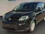 Fiat Panda 1.0 L - gebrauchte Fiat Panda aus dem Jahr 2022