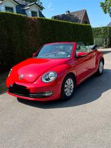 Volkswagen New Beetle - Volkswagen New Beetle: Cabrio