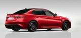 Alfa Romeo Giulia QUADRIFOGLIO Sparco, Akrapovic Carbondach - Gebrauchtwagen mit Akrapovic Auspuffanlage