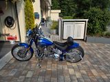 Harley-Davidson custom bike softail springer cvo - HARLEY-DAVIDSON BIKE