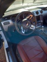 Ford Mustang 2.3 EcoBoost - - Ford mit Benzin-Antrieb: Cabrio, Schaltgetriebe