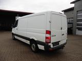 Mercedes-Benz Sprinter II Kasten 310/311/313/314/316 CDI - Mercedes-Benz Sprinter: 313