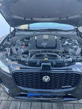 Jaguar F-Pace D300 R-DYNAMIC SE AWD R-DYNAMIC SE - Jaguar F-Pace aus 2023