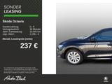 Skoda Octavia Combi Selection 2,0 TDI 110 kW 7-Gang-DS - Skoda Octavia Selection mit Diesel-Antrieb