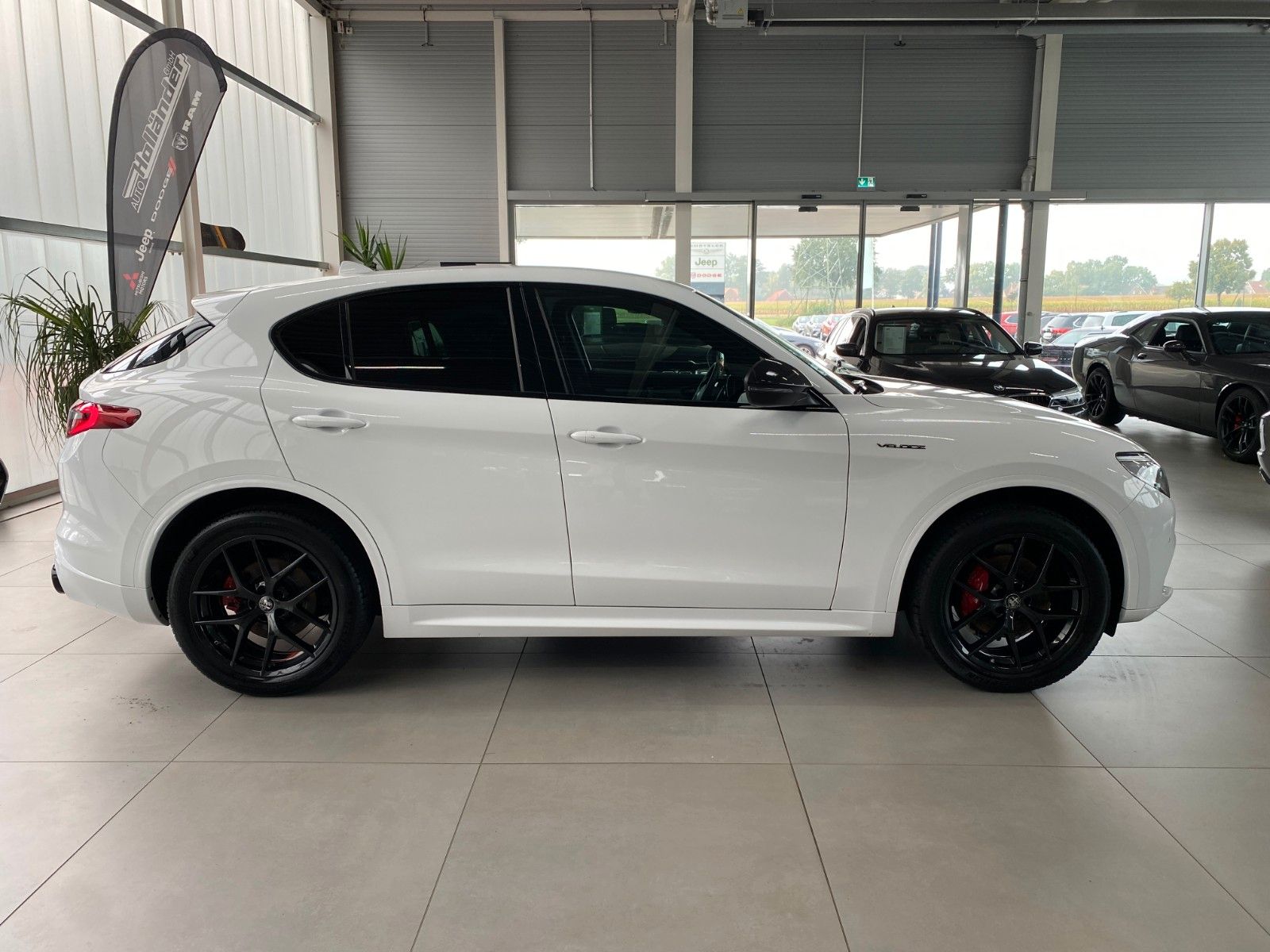 Fahrzeugabbildung Alfa Romeo Stelvio 2.0T Veloce Q4 Assistenzpaket 20" Leder