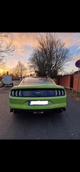 Ford EU Mustang GT 5.0 V8 - 55 Years Edition - Ford Mustang: Edition