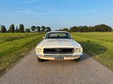 Ford Mustang coupe T5 302 V8 - Ford Mustang mit Benzin-Antrieb: Coupé, 302