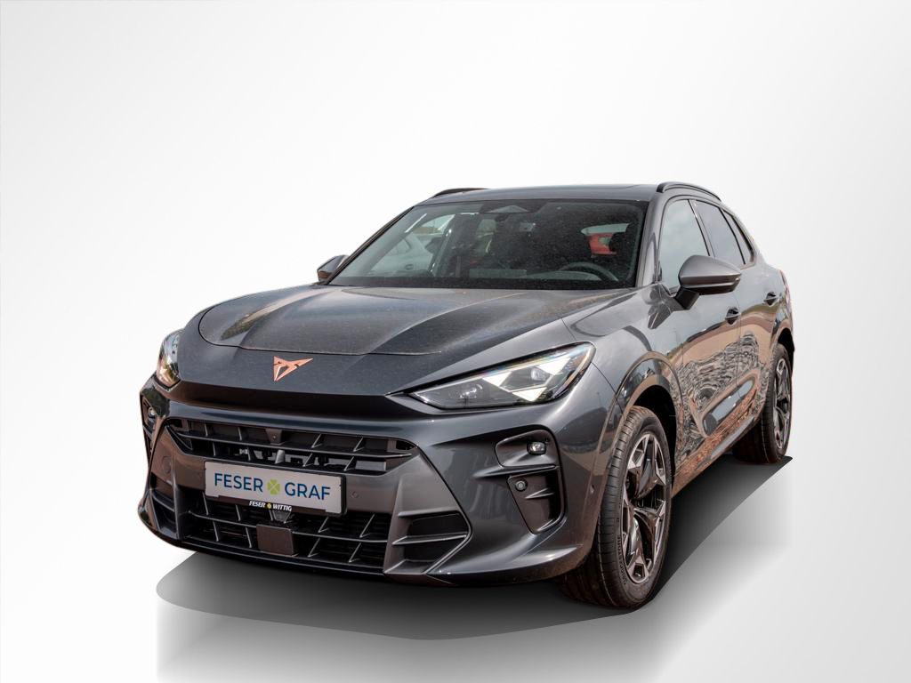 Cupra Terramar - Bild 14