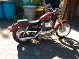 Harley-Davidson Sportster 1200 Custom Bob  - HARLEY-DAVIDSON 2001 SPORTSTER 1200