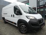 Fiat Ducato Maxi Kasten 35 180 L5H2 AUTOMAT/KLIMAUT/A - Fiat Ducato: 18