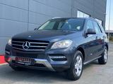 Mercedes-Benz ML 350 CDI BlueTec/TUV/ 1 HAND - Mercedes-Benz ML 350 in Nürnberg