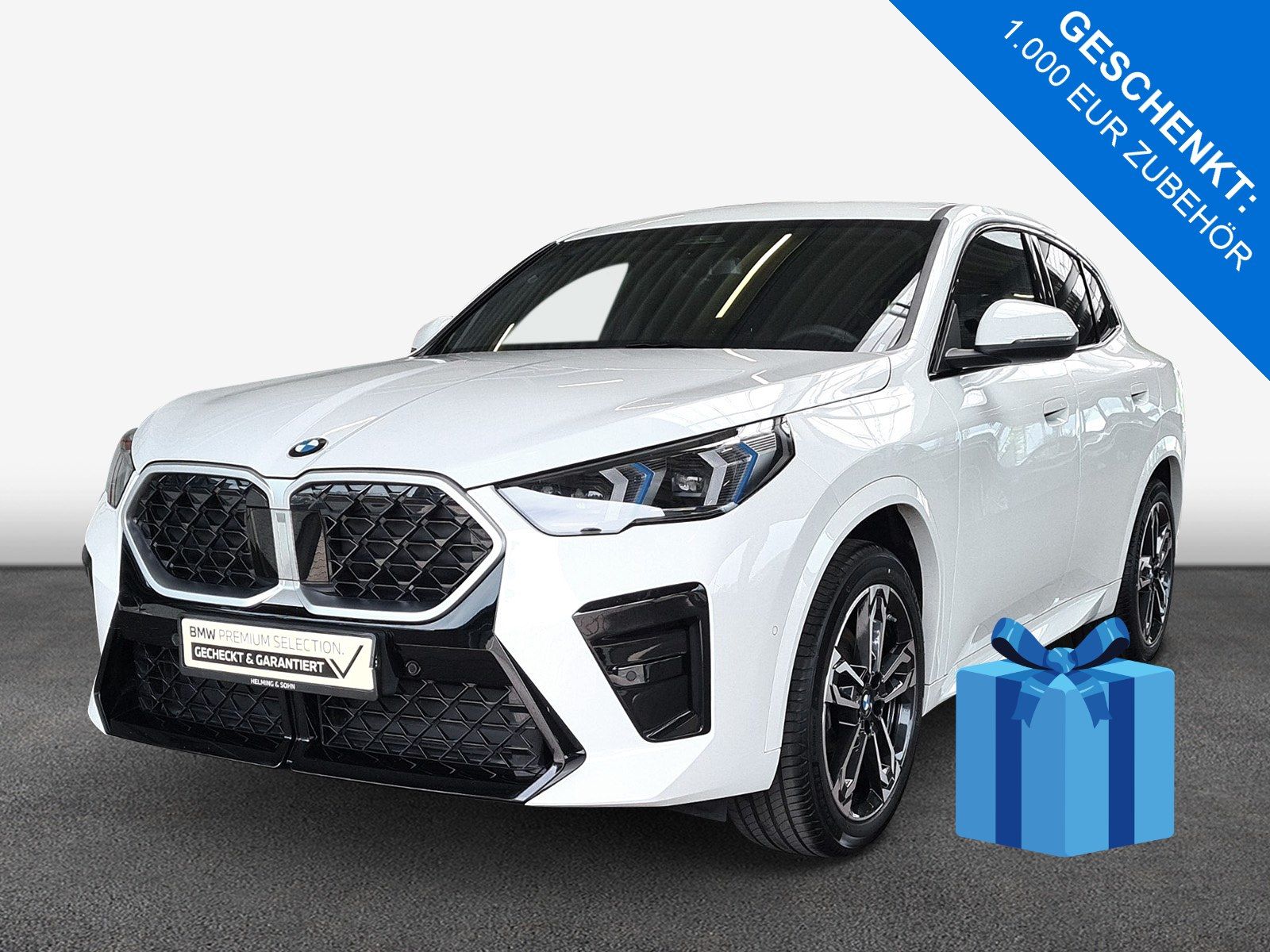 BMW X2 sDrive20i M-Sport HK HiFi Massage LED AHK ACC