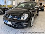 Volkswagen Beetle Cabriolet 2.0 TDI 6-Gang CARPLAY PDC 19" - gebrauchte VW Beetle aus dem Jahr 2017