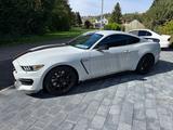 Ford Shelby GT 350 Fastback - Ford Mustang: Shelby Gt350