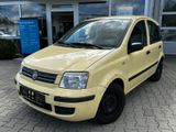 Fiat Panda 1.2 8V Dynamic *AUTOMATIK 1.HAND - Fiat Panda mit Benzin-Antrieb: Kleinwagen, Automatik