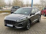 Ford Kuga ST-Line X - Ford Kuga Jahreswagen