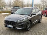 Ford Kuga ST-Line X - Ford Kuga Jahreswagen