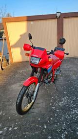 Honda Dominator NX650 - "Oldtimerfähig" - HONDA DOMINATOR