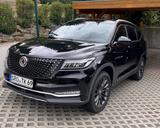 DFSK Fengon 7 - DFSK aus 2024