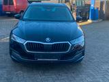 Skoda Octavia 2.0 TDI 110kW DSG Selection Combi Se... - Skoda: Firmenfahrzeug